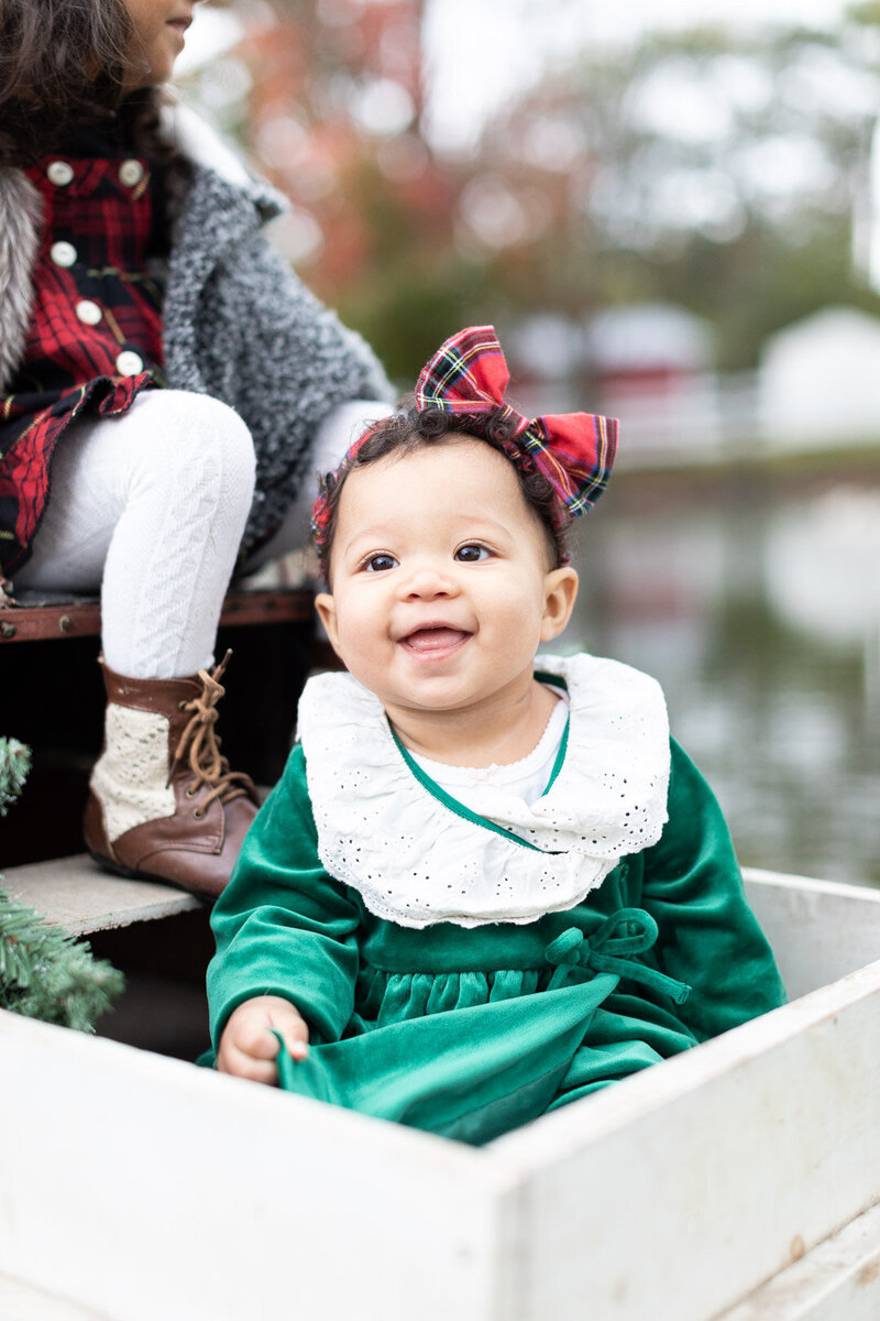 Christmas Mini session Photographer Syracuse New York; BLOOM by Blush Wood (2 of 6)