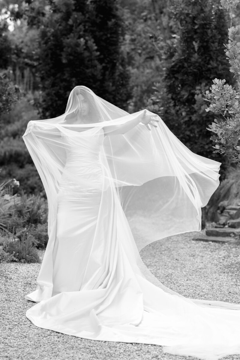 bridal portraits