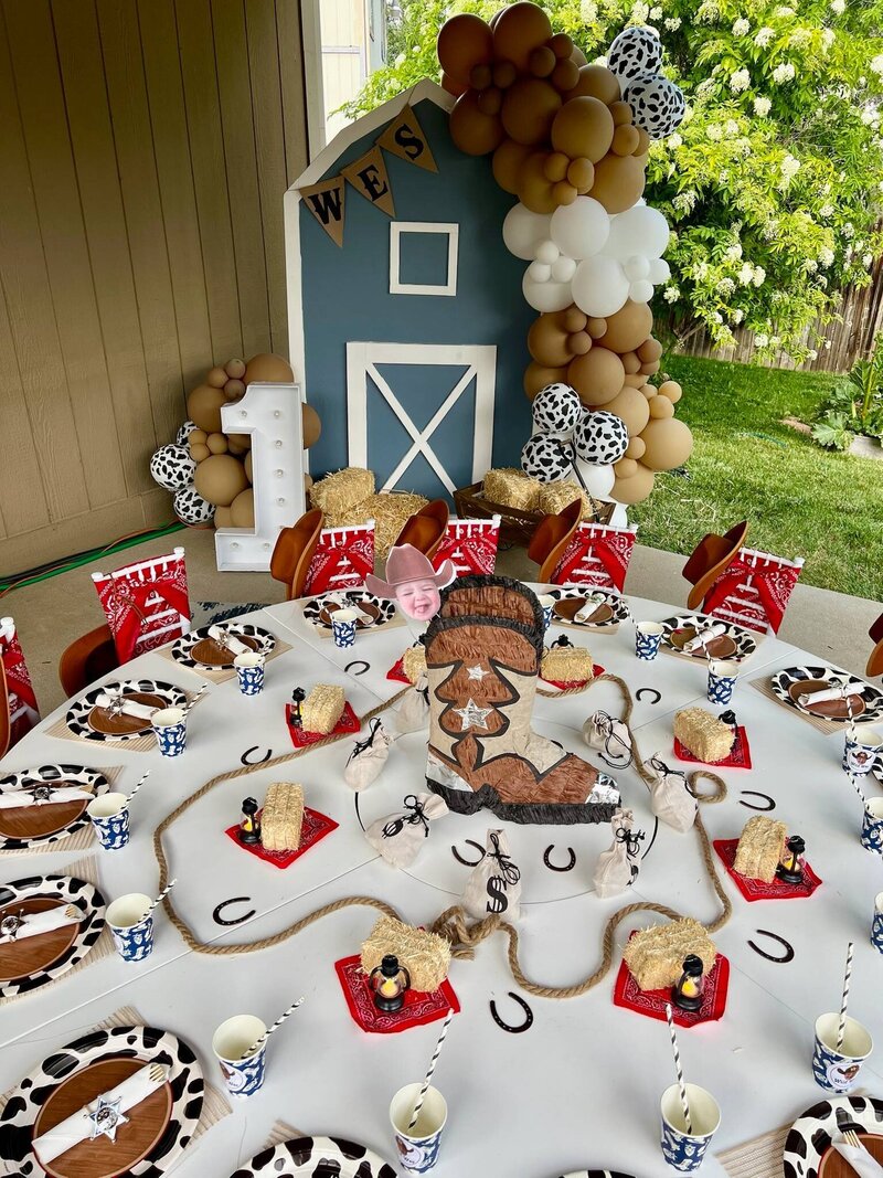 cowboy-farm-themed-party-kids-erie-co (8)