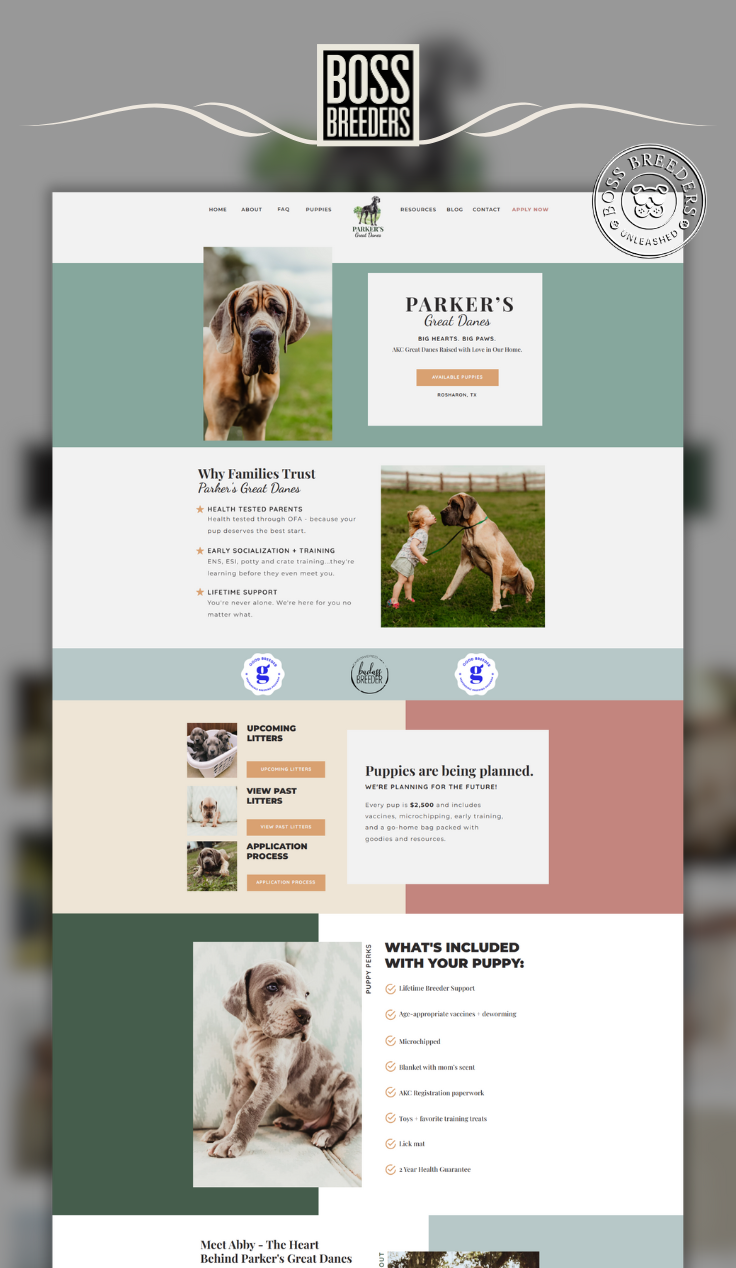 Template customization services by boss breeders