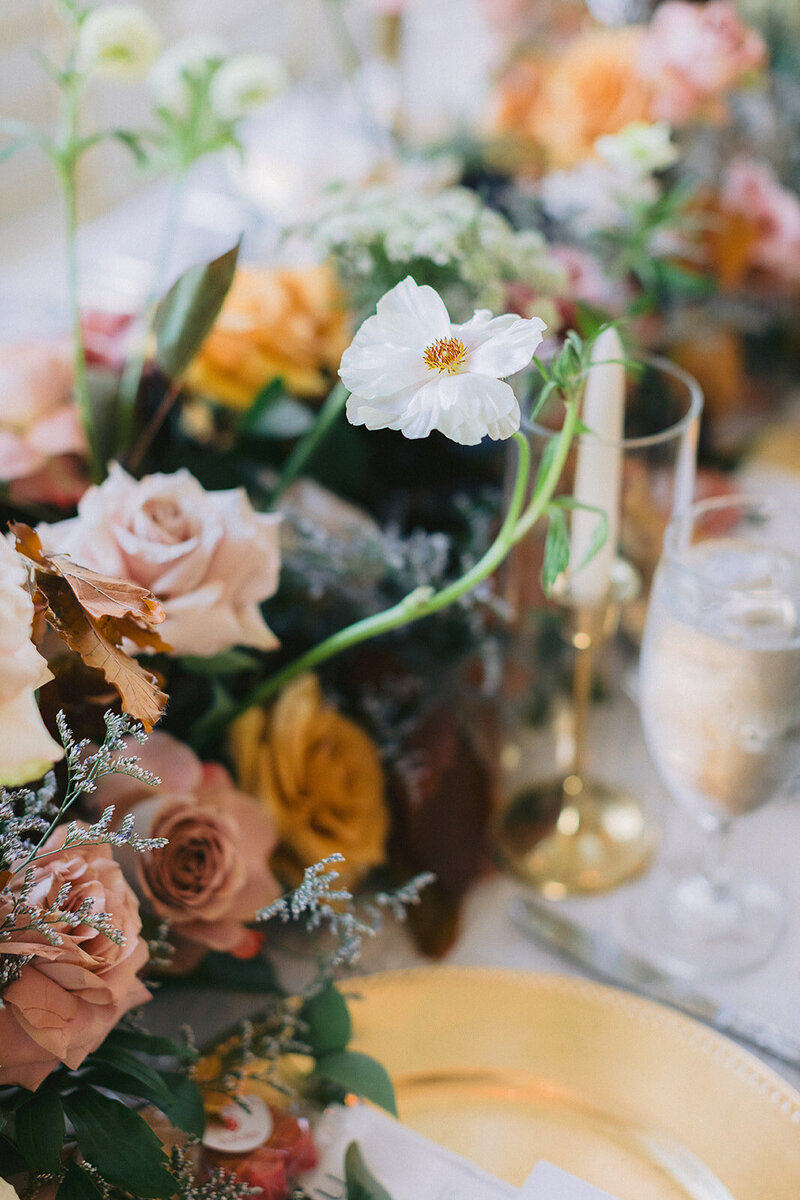 the-olana-wedding20