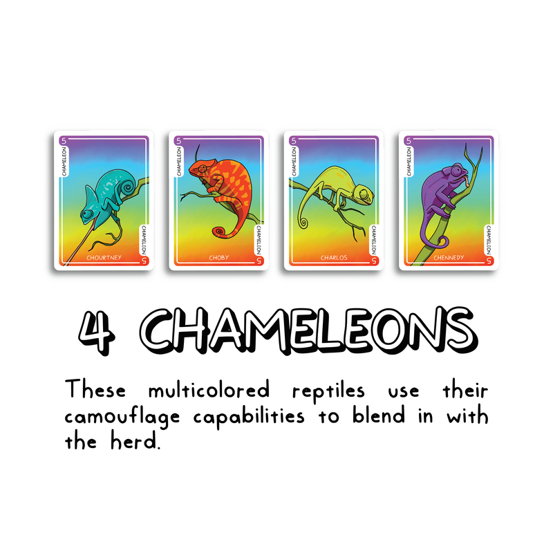 Card Graphics for Online Sales-11