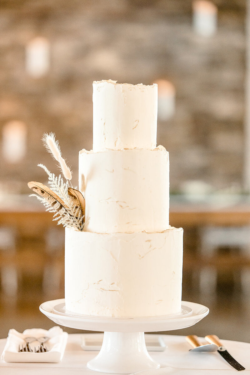 Central-Illinois-cake