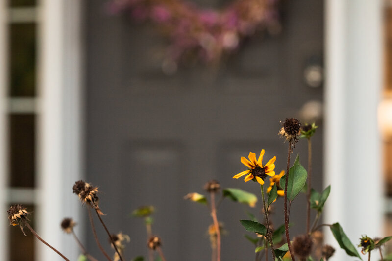flowers in focus in foreground with front door to home blurred in background