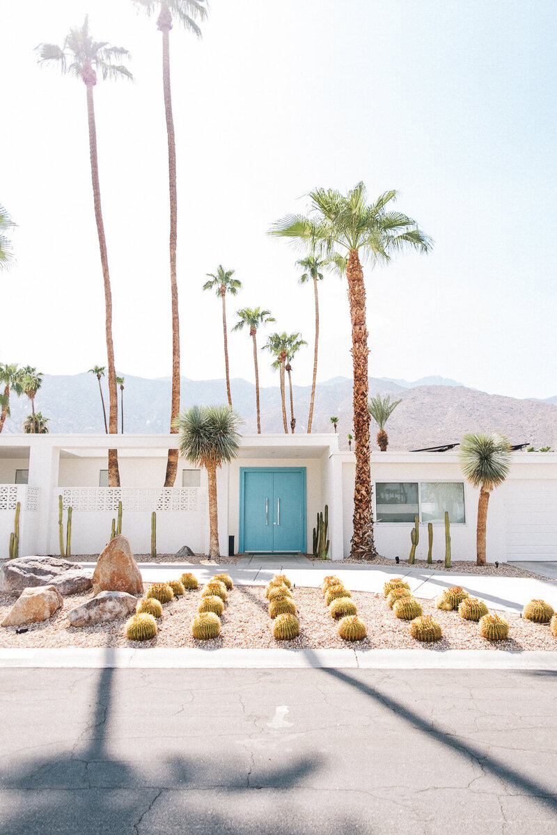 Palm-Springs-wedding-photographer-ashley-carlascio-photography-ps-day-two-0174_websize