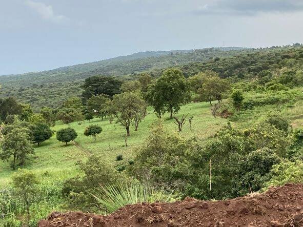 Kabanga drill site 8 on December 2021