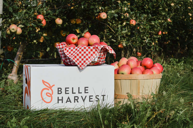 An apple photoshoot event for BelleHarvest