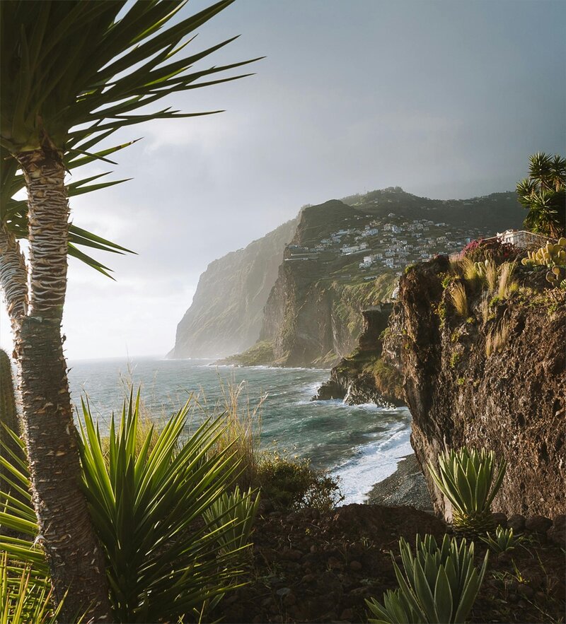 Photo of Tropical Beach