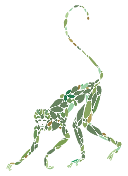 AEP monkey_no background_2 copy