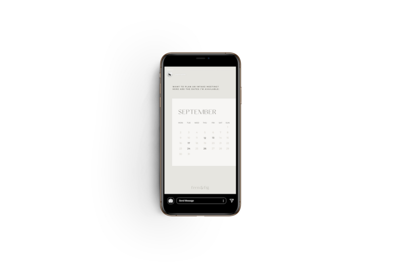 Earthy Instagram story templates Fern & Fig 5