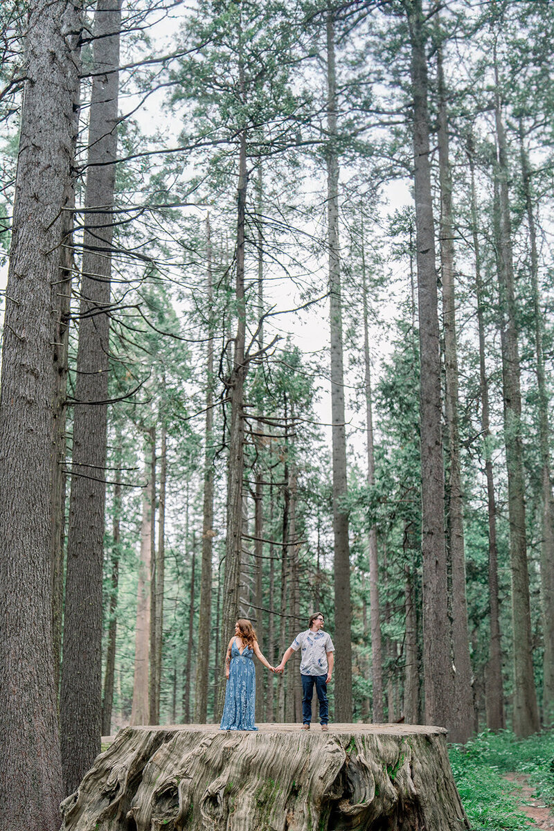 An adventurous engagement session amidst the towering trees of Yosemite National Park, California, captured by Tiffany Longeway Photography.