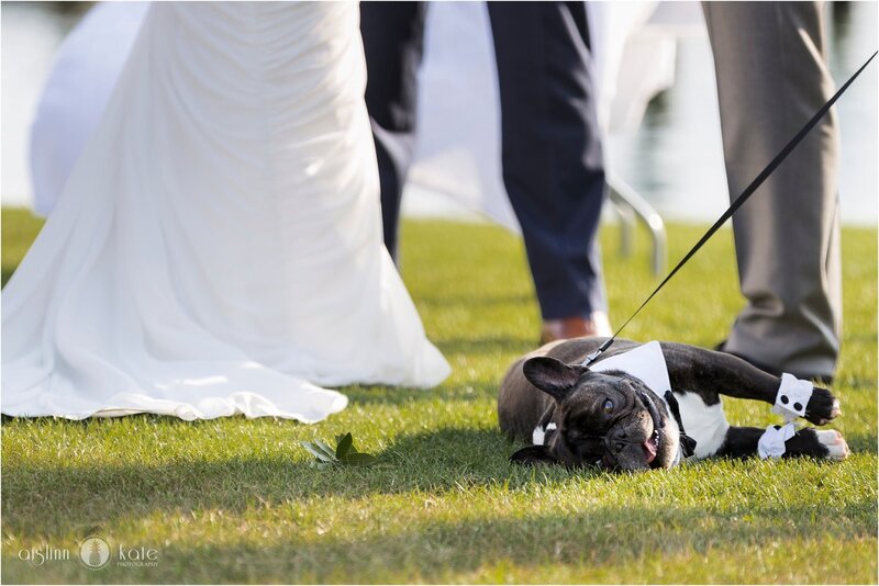 Dog 4 Palafox Wharf Waterfront Weddings Events