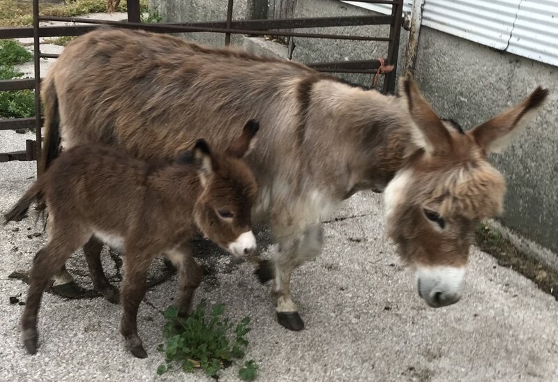 Caspian and mom