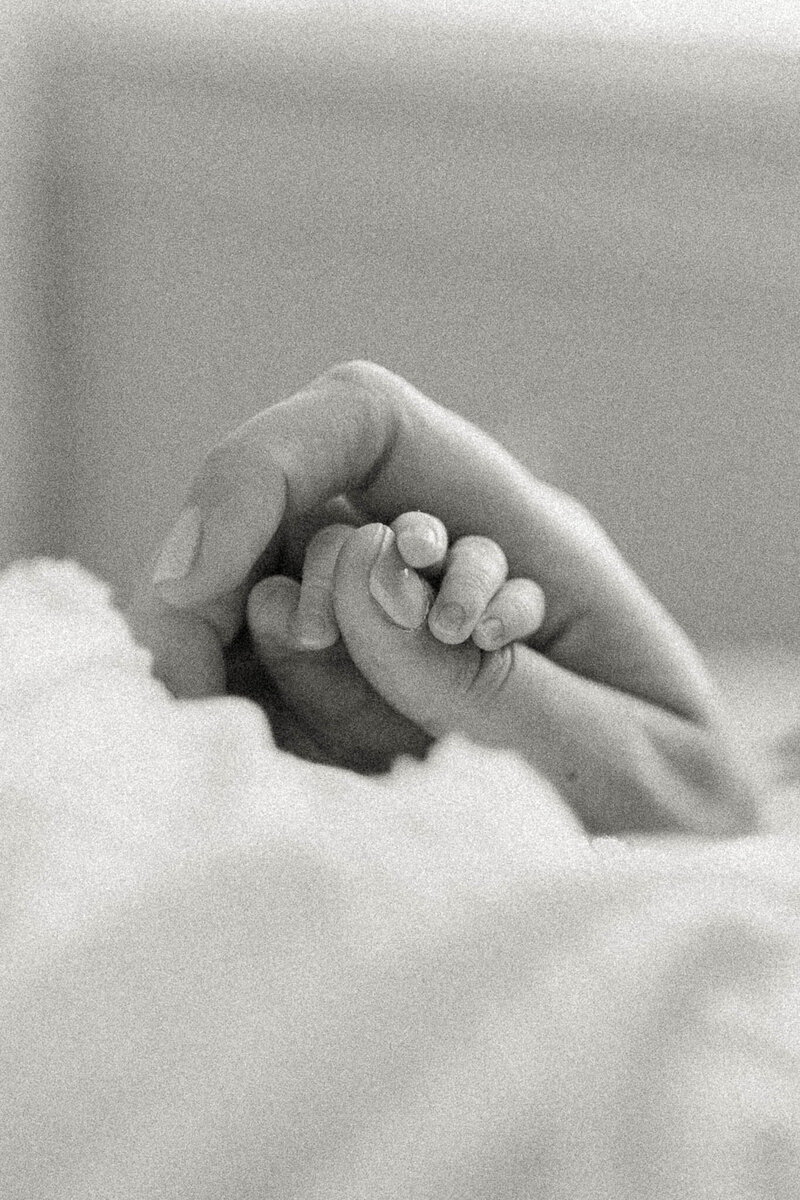 Arlington newborn photographer