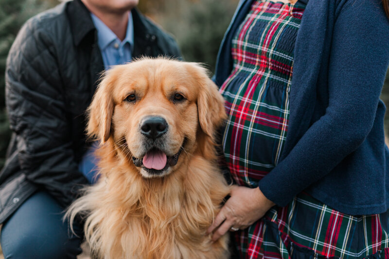 2021.11_CassieMaternity-148