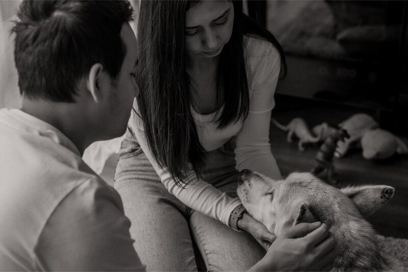 the-lifestyle-phodographer-perth-family-pet-photographer-legacy-end-of-life00015