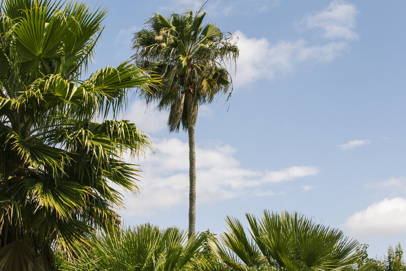 Caroline Morey Wedding Photographer San Diego Encinitas Private Estate-9695