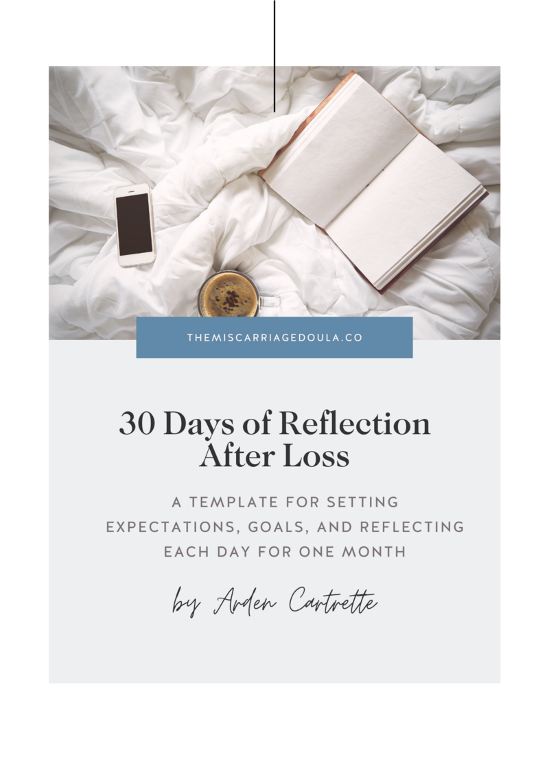 Daily Gratitude & Reflection Journal