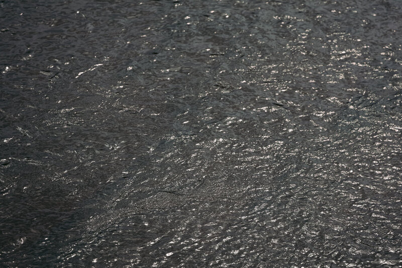 safariedited-023