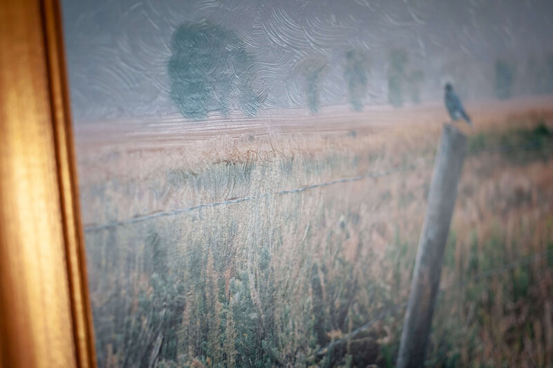 Fine-Art-Print-Jackson-Wyoming-Mountain-Blue-Bird-Detail-Jenna-Boshart-Photographyphy