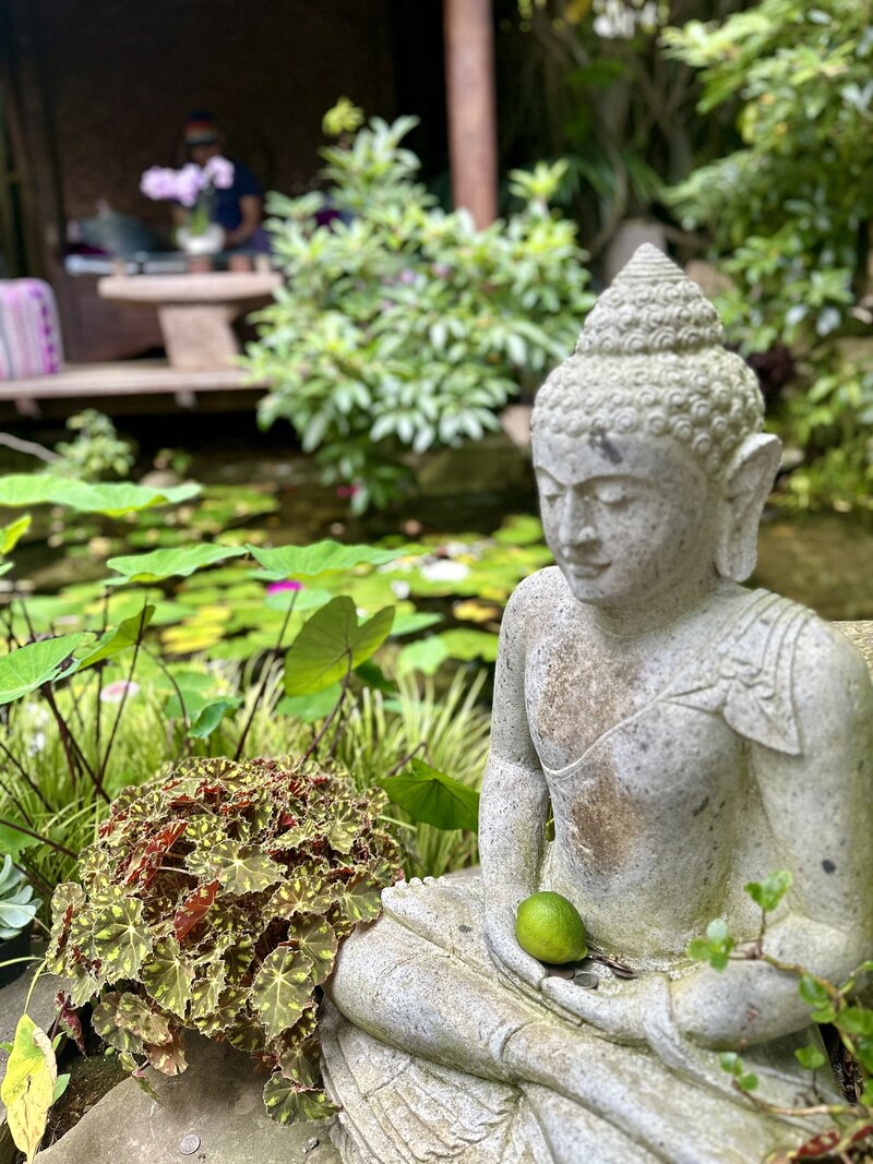Garden Buddha with water and plants, reflecting the harmony between mind-body practices and deeper inner healing