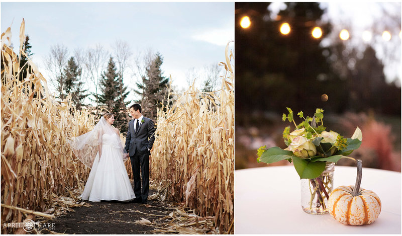Autumn wedding with corn maze at Chatfield Farms Denver Botanic Gardens