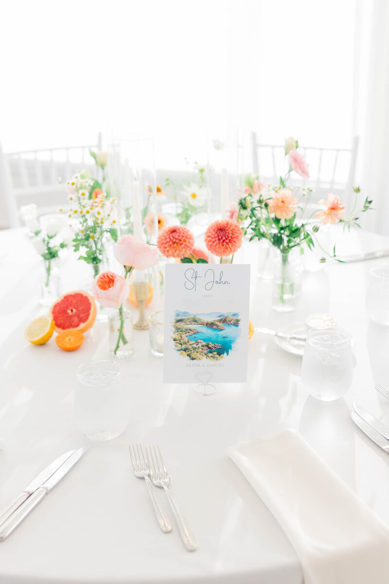 Olivia+Samuel_TLP-70