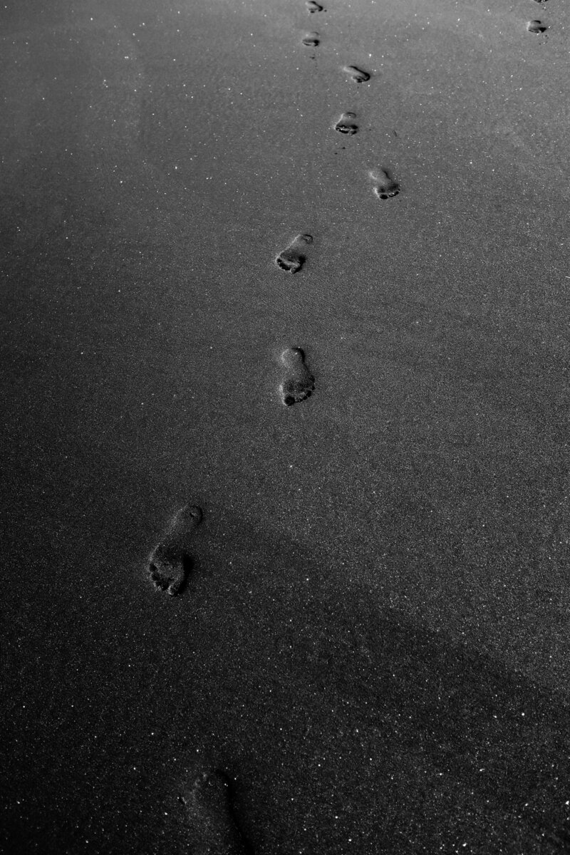 pexels-adrien-olichon-3646206