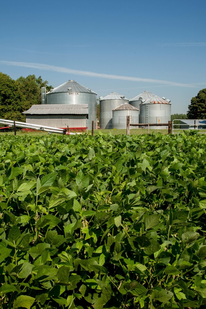 Custom Applicator - Mankato Custom Spraying