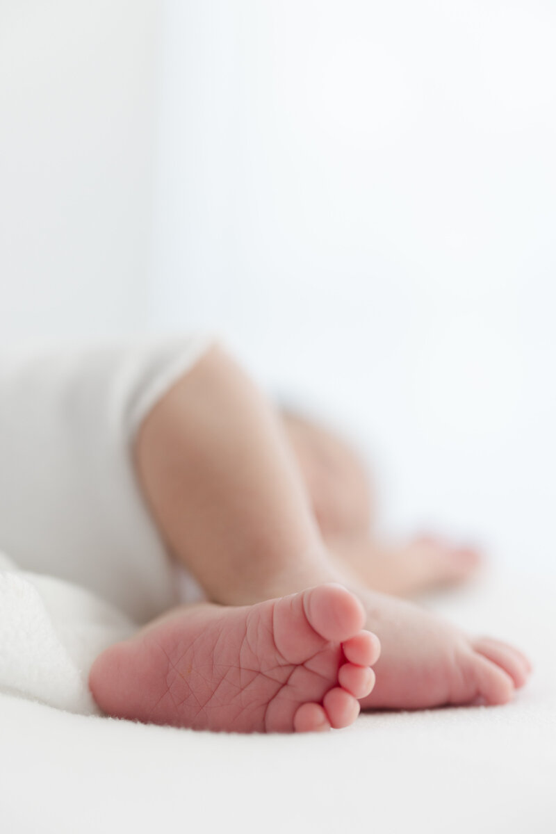 Close-up of newborn baby feet during a natural light photography session in Mill Valley, California by Suzanne Karp Photography.