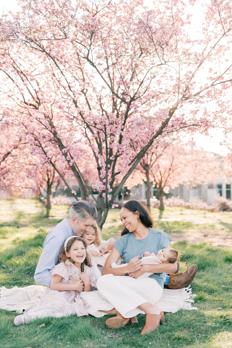 Cherry Blossom Family10