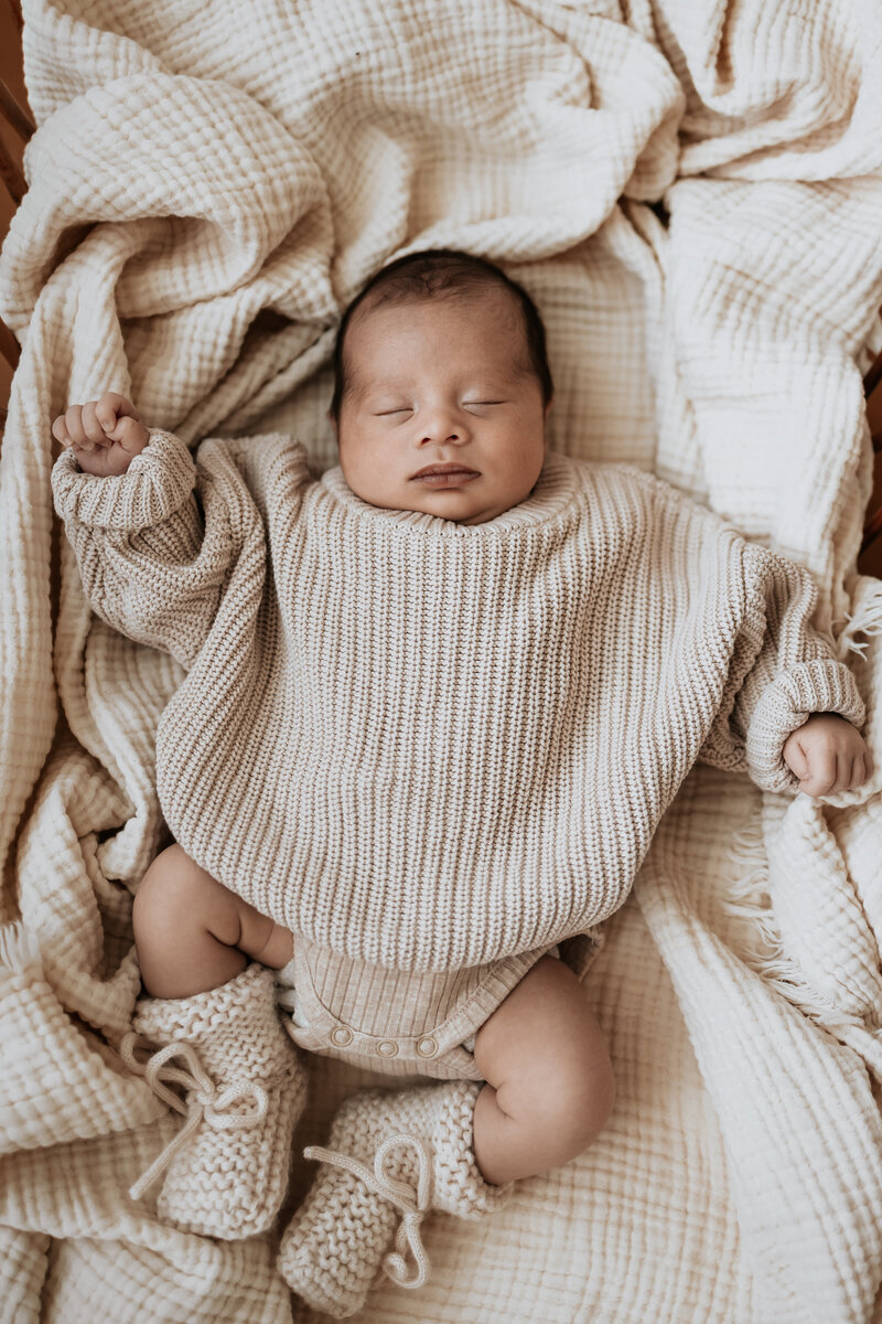 Newbornshoot Heerhugowaard