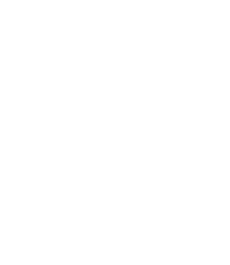 beetle overlay