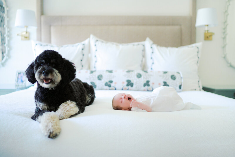 Newborn photography in Lake Highlands. Black and white heirloom photography.