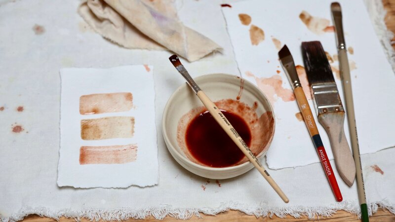 make paint & inks from plant dyes & natural sources 