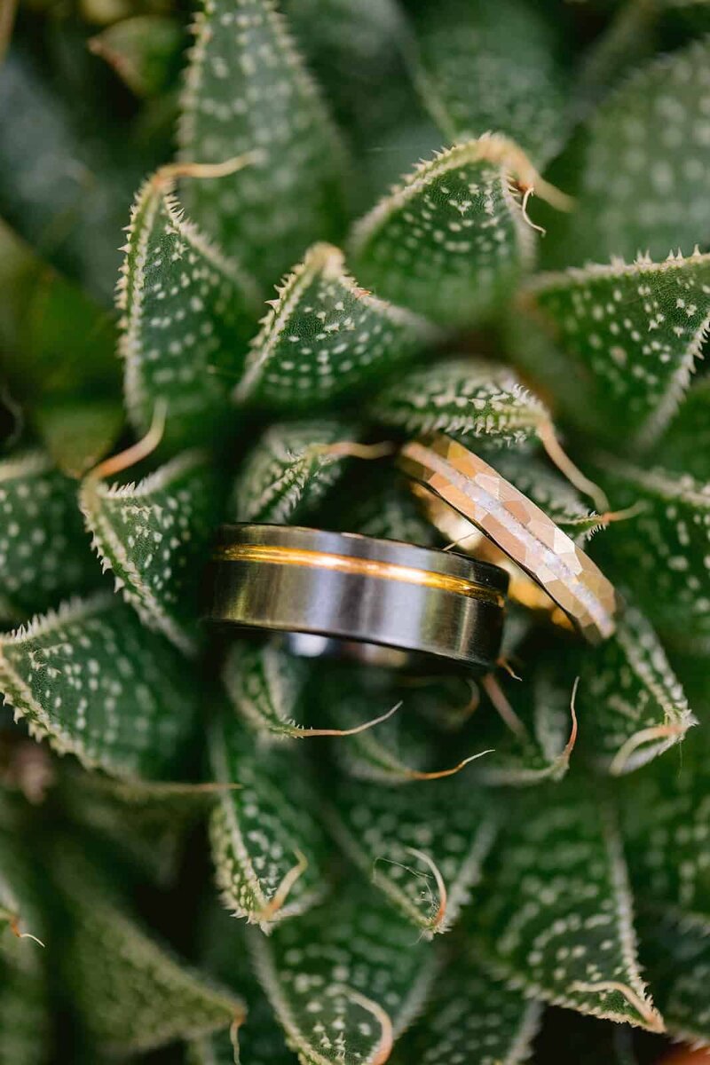 Guerneville Elopement - Lesbian Wedding - GunnShot Photography 