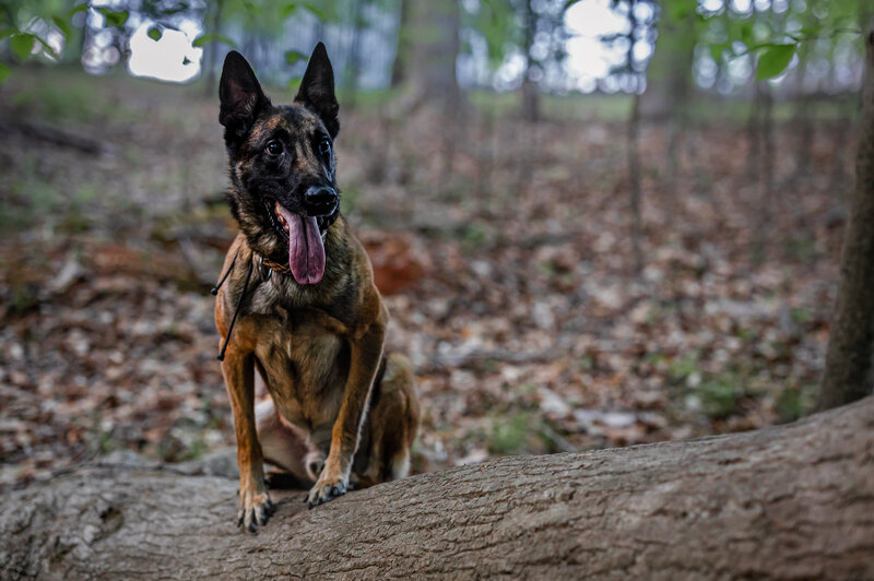 0T7A8916-Edit