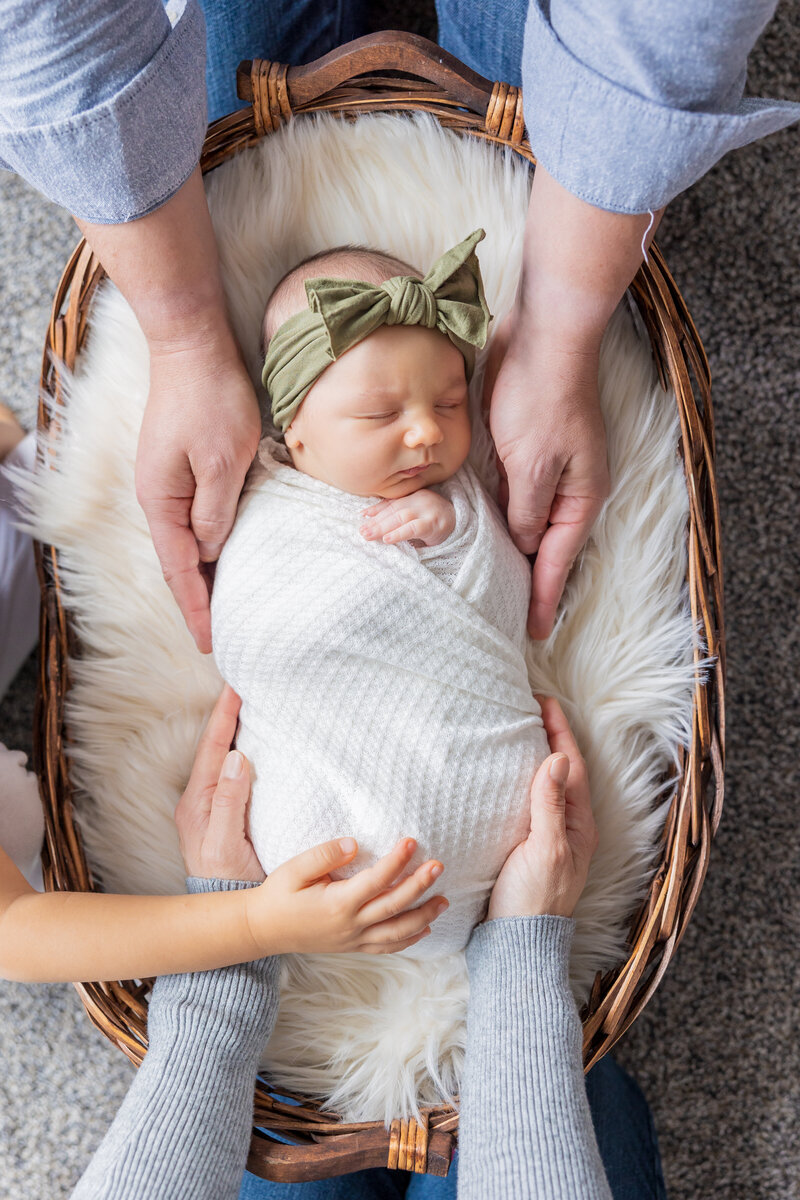 baby in the basket with family hands holding her