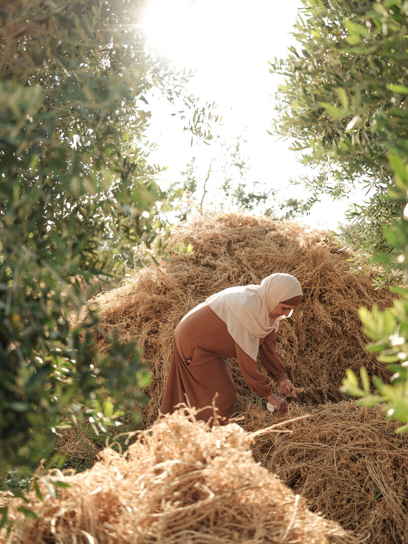 CanaanPalestine_22June23-81