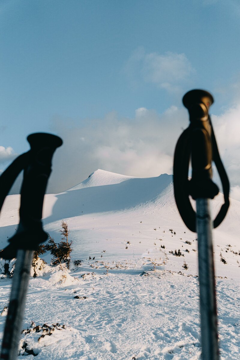 skiing-french-alpine