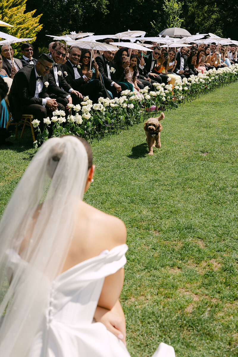 Charlotte and Mihindu x Ashleigh Haase Photography-319