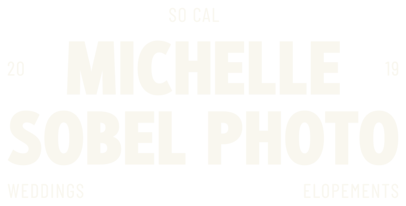 michelle sobel photo logo