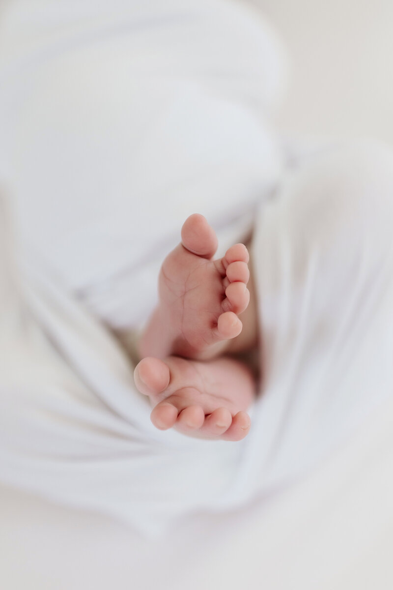 Dallas Newborn Photographer-11