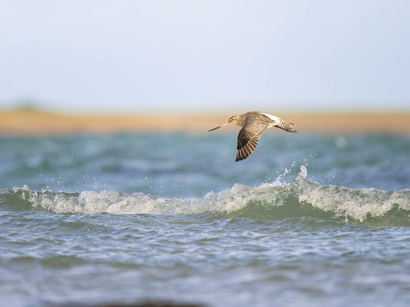 orkney workshop-20250307-O3070231_DxO