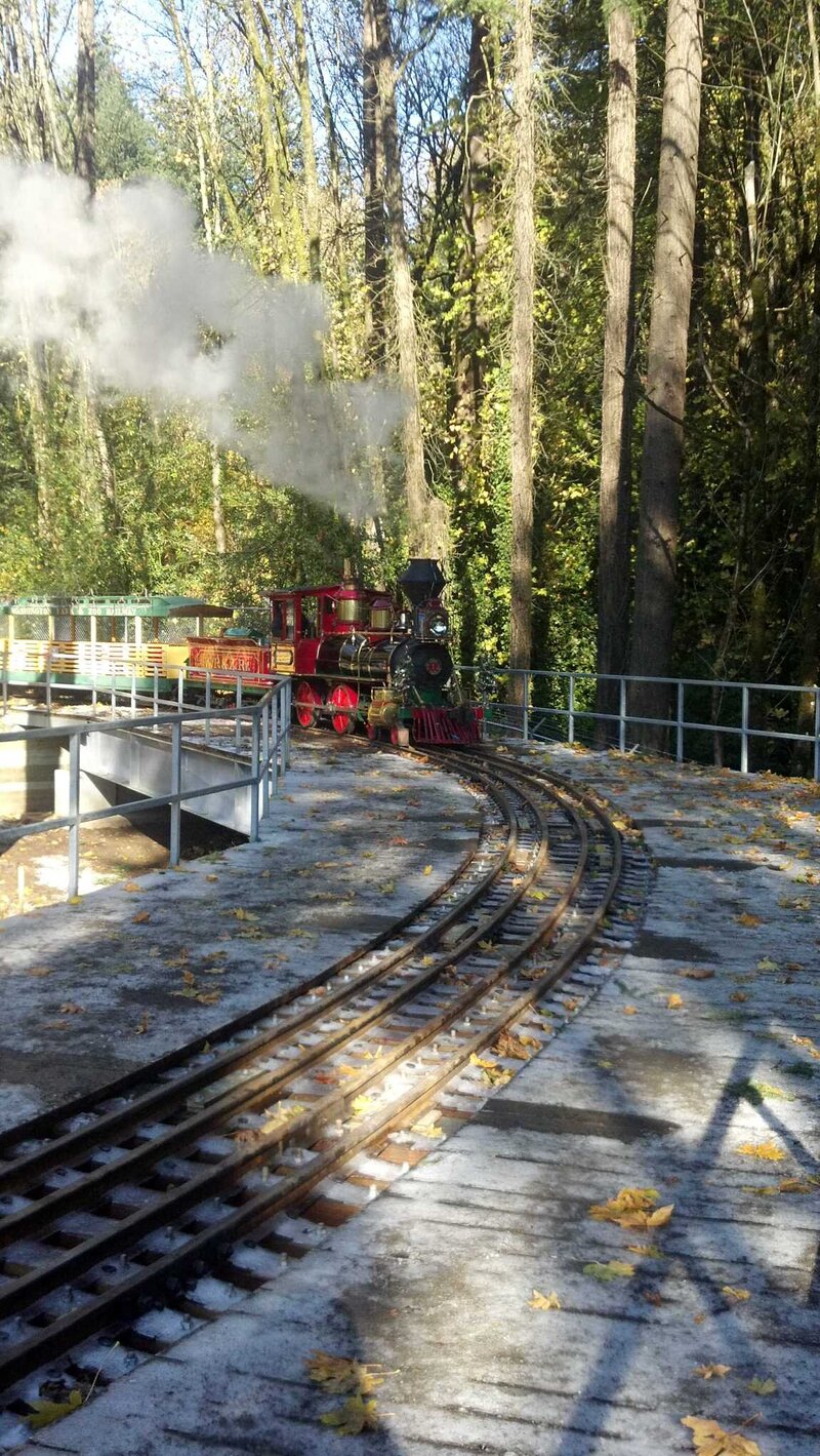 Train on Bridge