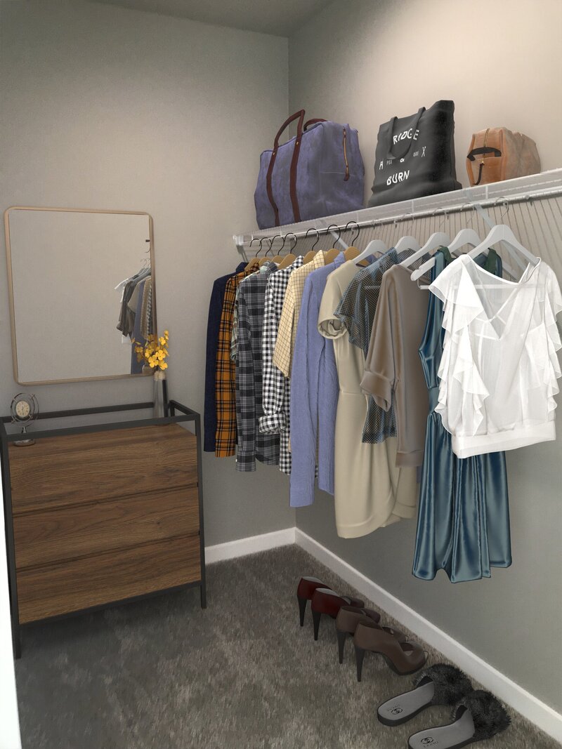 1bdrm - Closet