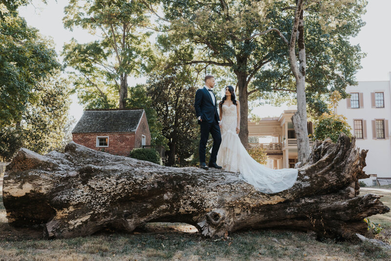 couple standing on tree