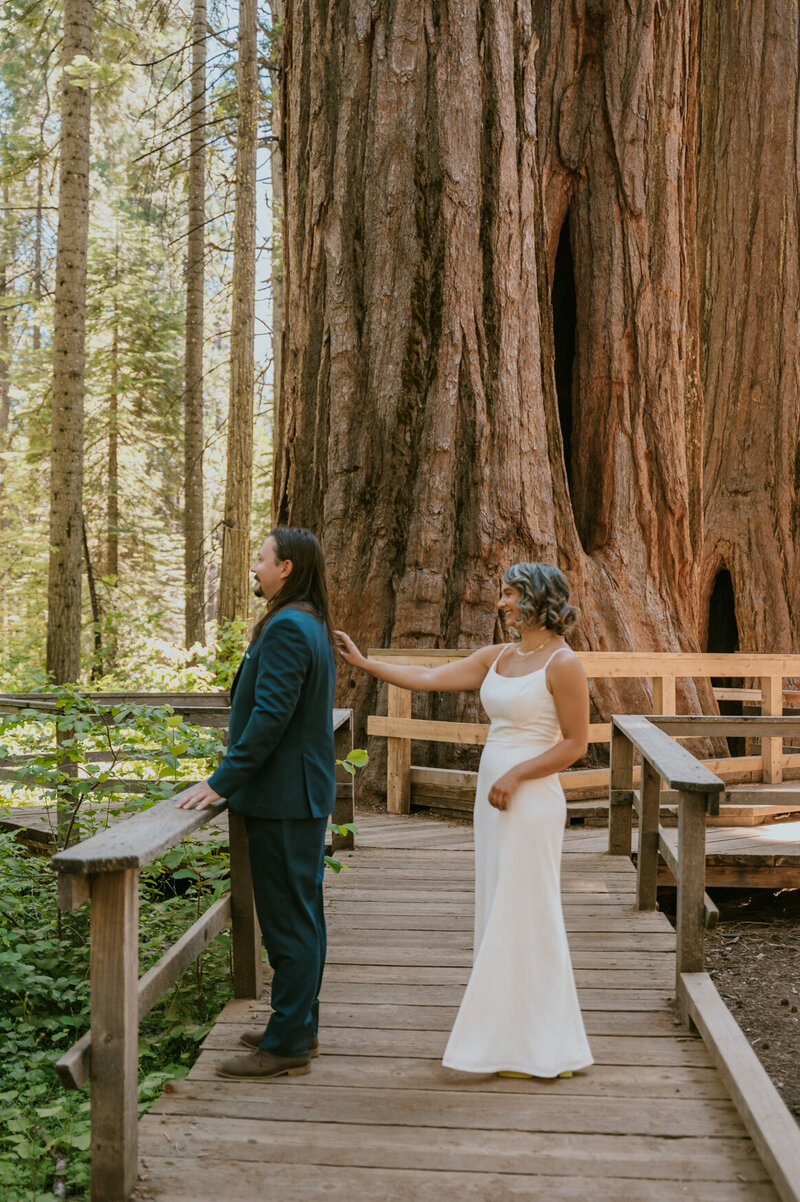 muir woods big trees sequoia elopement wedding-39