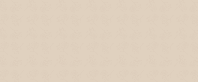 Brand collateral for wellness brand