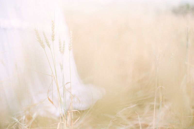 Jerilyn&Kyle_TheSassersWeddingPhotography_0027